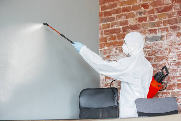 Best Forensic Mold Investigation  in Anthony, KS