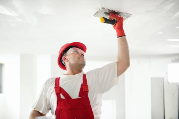 Asbestos and Lead Testing During Mold Inspection in Anthony, KS